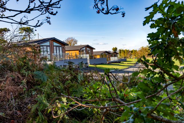 Lodge for sale in Woodside Luxury Lodges, St Andrews