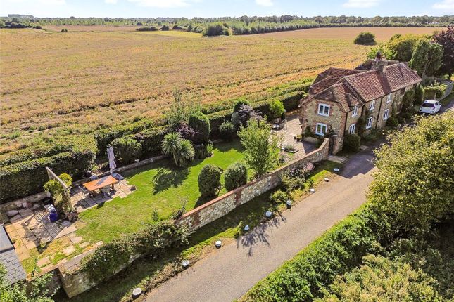 The Property