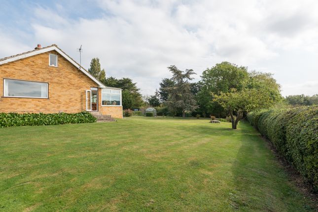 Detached bungalow for sale in Pean Court Road, Whitstable