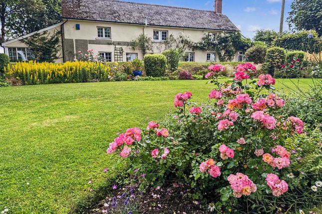 Sanctuary Gate Cottage, Winkleigh photo 2