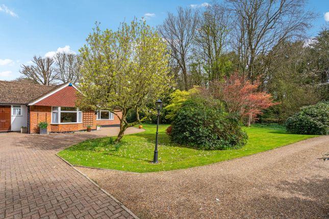 Detached bungalow for sale in Shootersway, Wigginton