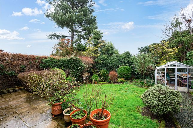 8 Mount Pleasant, Epsom photo 4