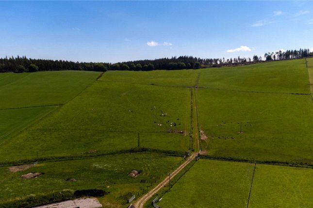 Thumbnail Land for sale in Muir Of Fowlis, Alford, Aberdeenshire