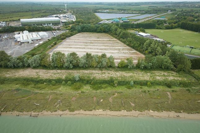 Thumbnail Land to let in Ramsgate Road, Sandwich, Kent