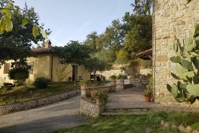 Farmhouse for sale in Montone, Perugia, Umbria, Italy