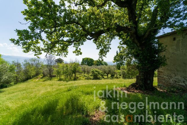 Country house for sale in Italy, Tuscany, Florence, Figline Valdarno