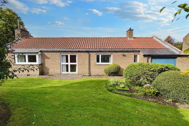 Thumbnail Detached bungalow for sale in Croftlands, Lesbury, Alnwick