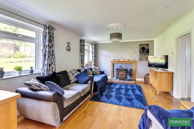 Andross, EXCELLENT SOLAR INCOME, Ruardean Woodside photo 3