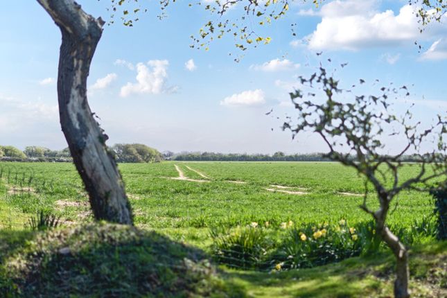 Byways Wellsfield, Chichester photo 3
