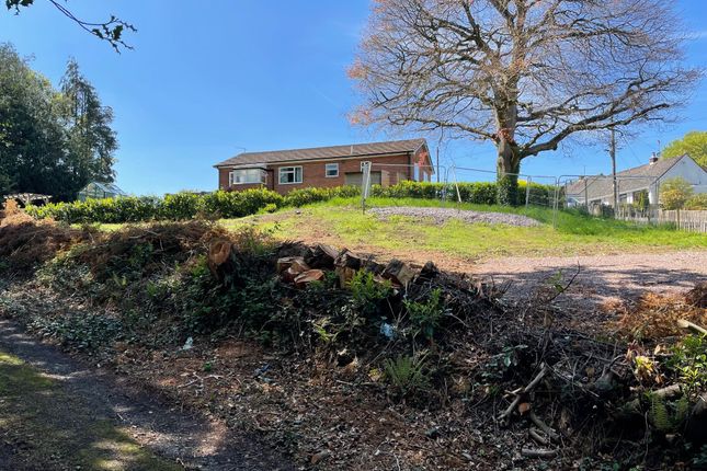 View Across Plot