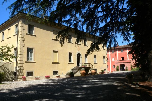 Thumbnail Apartment for sale in Borgo di Colleoli, Palaia, Pisa, Tuscany, Italy