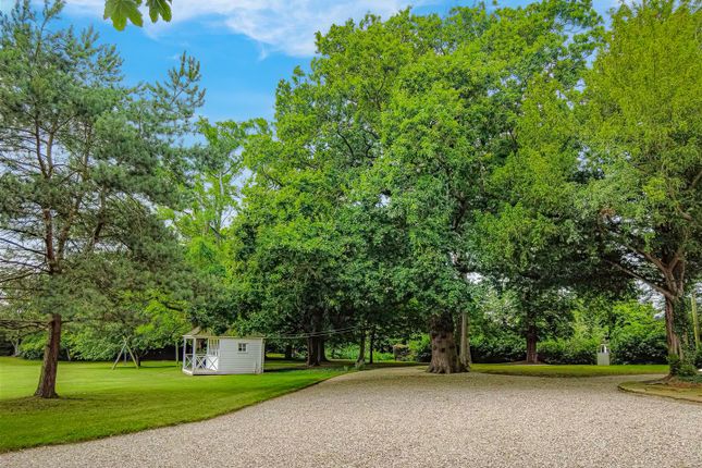 Summer House And Garden