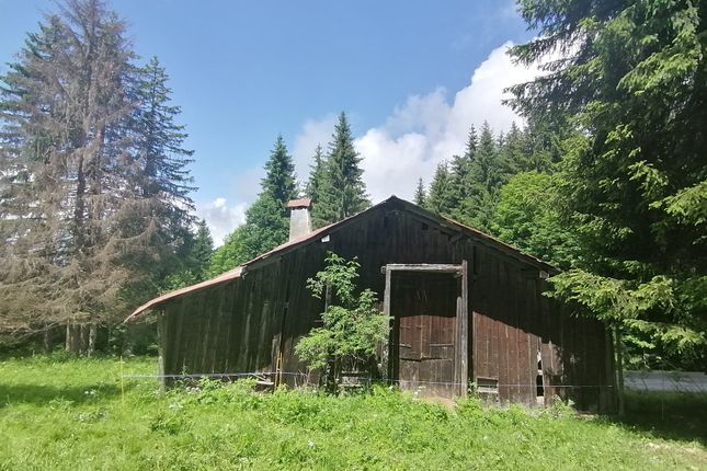 Barn conversion for sale in Grand-Massif - Samoëns, Haute-Savoie, Rhône-Alpes, France