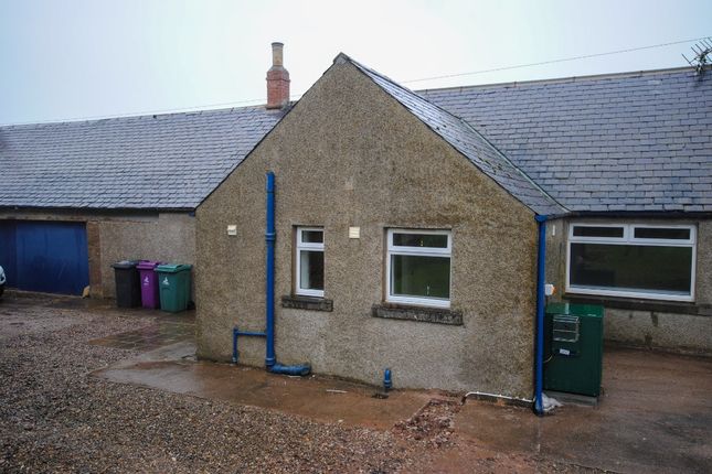 Thumbnail Cottage to rent in Ethiebarns, Inverkeilor, Arbroath, Angus