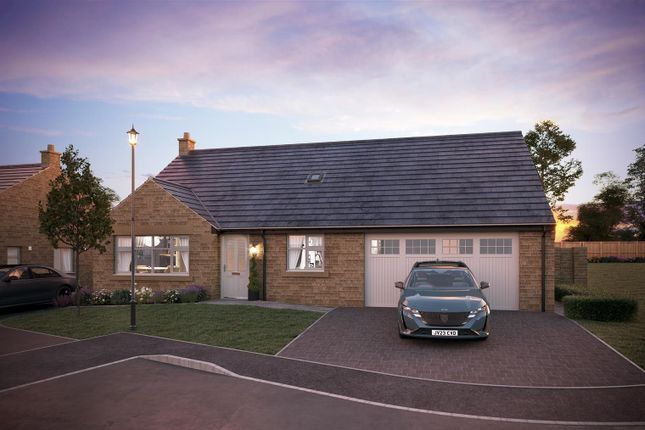 The Cambridge - Dusk