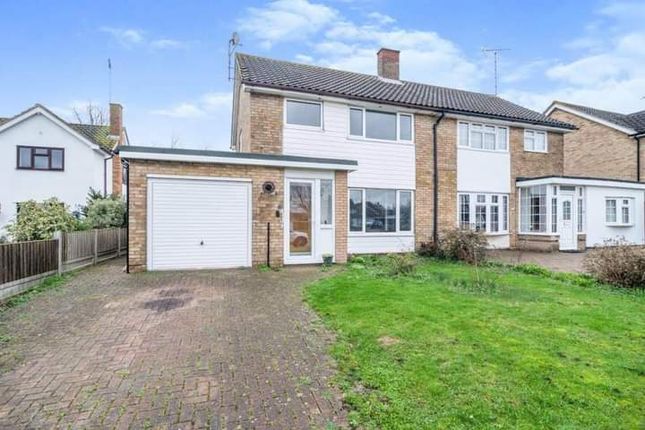 Thumbnail Semi-detached house to rent in Swallow Dale, Basildon