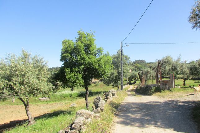 Farm for sale in Aranhas, Penamacor, Castelo Branco, Central Portugal