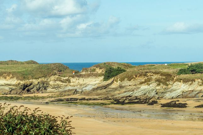 3, Newquay photo 2