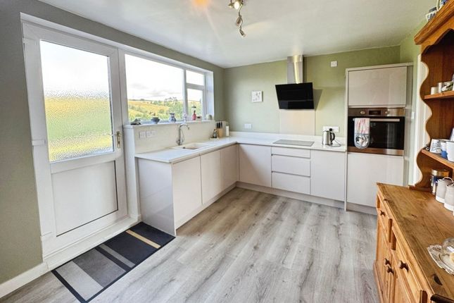 Orlwors, Fair Hill, Haltwhistle photo 2
