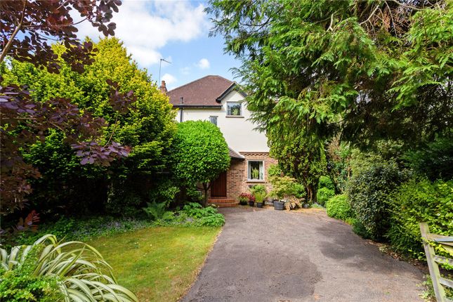 Thumbnail Detached house for sale in Great Quarry, Guildford, Surrey