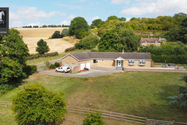 Thumbnail Detached bungalow for sale in Bungalow With Equestrian Facilities, Land And Lake, Scamblesby, Lincolnshire Wolds