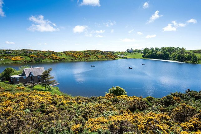 Coldingham Loch Estate, Coldingham Loch Fly Fishery & Holiday Lets, Eyemouth photo 2