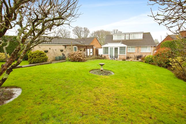 Thumbnail Bungalow for sale in Tuscan Walk, Chandler's Ford, Eastleigh, Hampshire