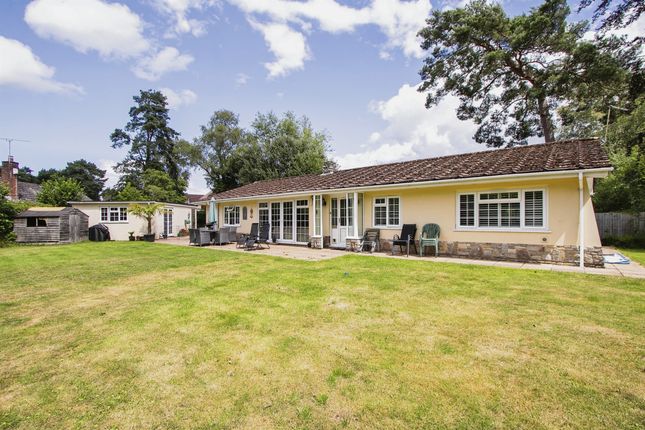 Thumbnail Detached bungalow for sale in Firs Glen Road, Verwood