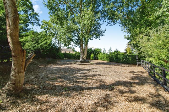 Jasmine Cottage, Nogdam End, Norwich photo 4