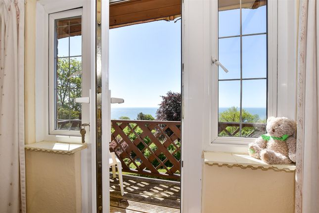 Owl Cottage, Undercliff Drive, Ventnor photo 4