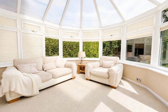 22, The Avenue, Sale photo 4
