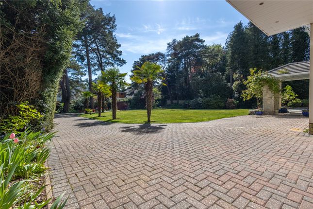 7A,, Spencer Road, Poole photo 4