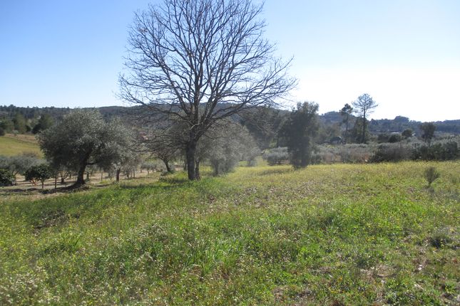 Land for sale in Aldeia Do Bispo, Aldeia Do Bispo, Águas, Et Al., Penamacor, Castelo Branco, Central Portugal