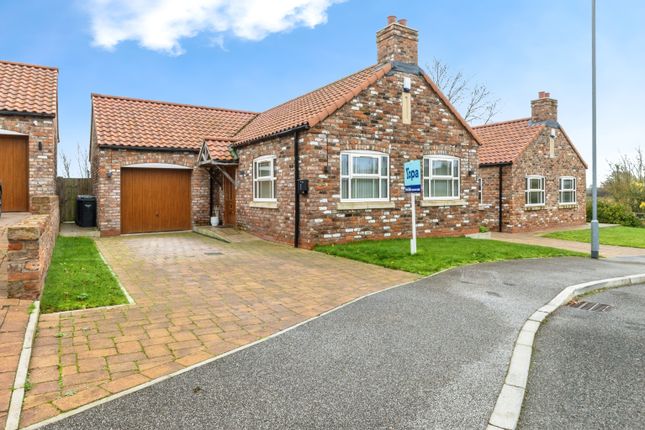 2025-11-07-2Fledglingclose025