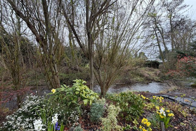 Grand Eagles Luxury Lodge Park, Nether Coul, Auchterarder photo 2