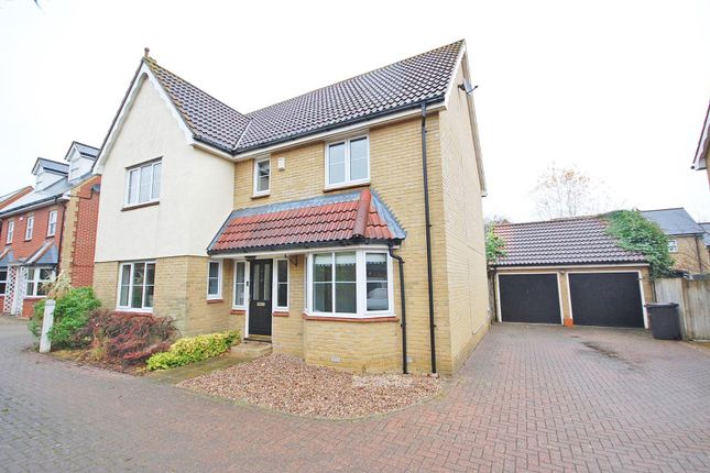 Detached house to rent in Melford Grove, Great Notley, Braintree