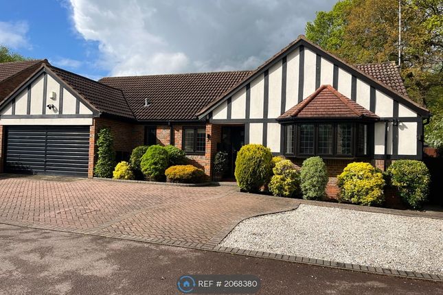 Thumbnail Bungalow to rent in Brentwood, Brentwood