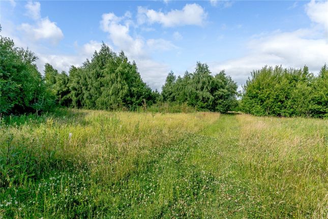 Land for sale in Pool Green Woods, Tatenhill, Burton-On-Trent, Staffordshire