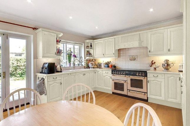 Orchard House, Beech Hill photo 4