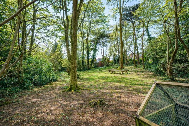 Mickle Wood 97, Battery Hill, Hastings photo 4