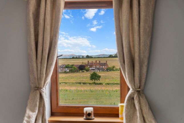 Airedale Barn Kinnersley, Worcester photo 4