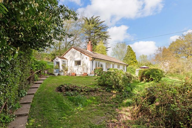 Detached bungalow for sale in Copyhold Lane, Haslemere