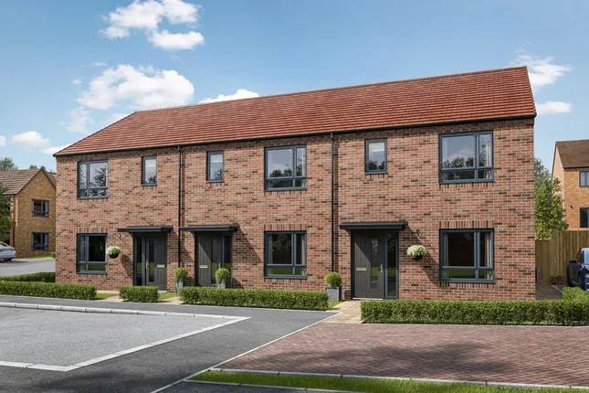 Taylor Wimpey - Herrington View