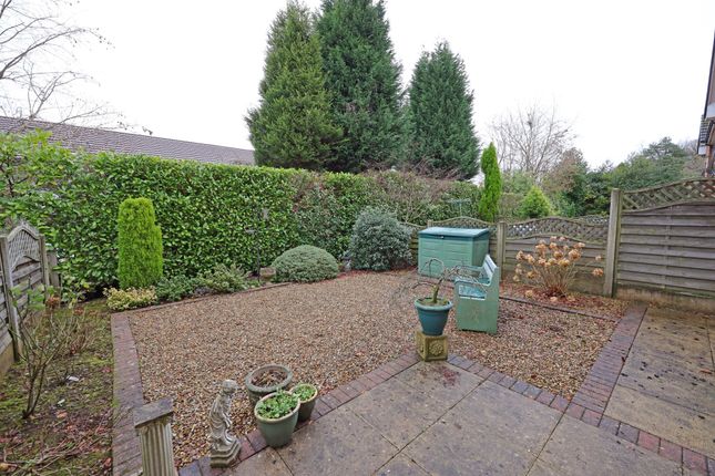 Apt 20, Kingsley Hall Lymewood Close, Newcastle photo 2