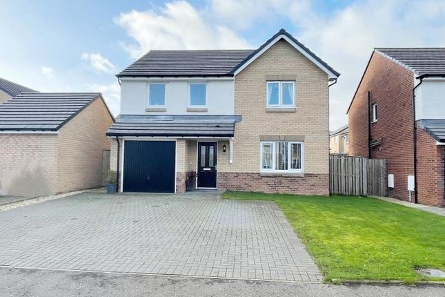 Thumbnail Detached house to rent in Rickard Avenue, Strathaven