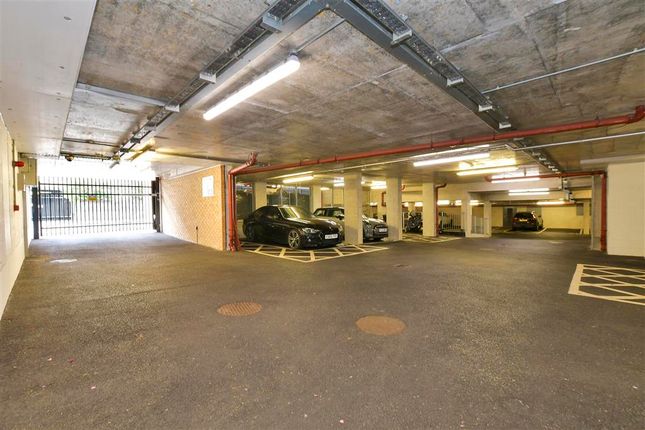 Driveway/Parking