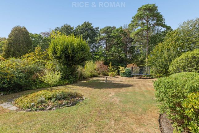 Pleasance, Onslow Road, Ascot photo 2