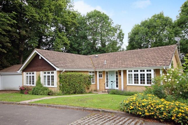 4 bed detached bungalow to rent in Leaside, Bookham, Leatherhead KT23