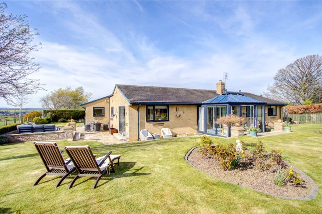 Thumbnail Bungalow for sale in Beech Court, Darras Hall, Ponteland, Northumberland