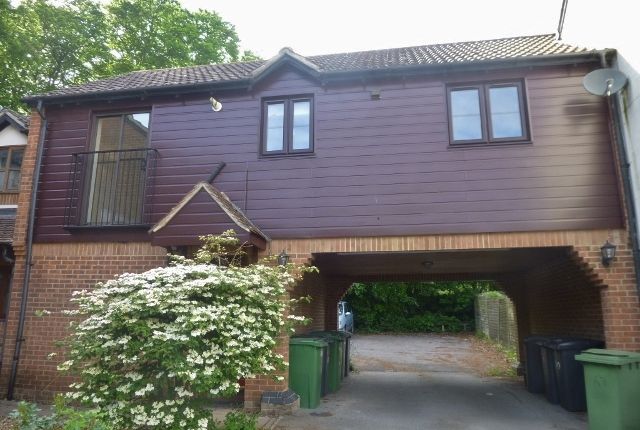 Thumbnail Detached house to rent in Gander Drive, Rooksdown, Basingstoke